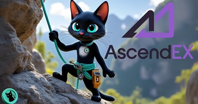 AscendEX проведет листинг Nacho the Kat 30 ноября