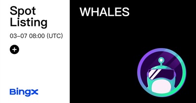 Whales Market to Be Listed on BingX on March 7th