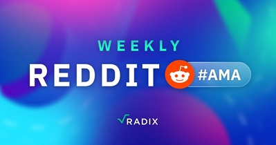 Radix проведет АМА в Reddit 26 июля