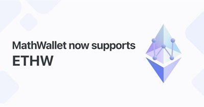 ETHW Support
