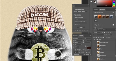 Bitcat to Release NFT Collection in January