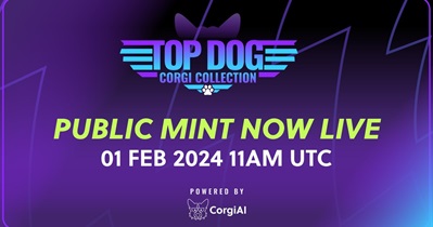 CorgiAI выпустит коллекцию Corgi 1 февраля