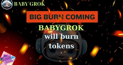 Baby Grok to Hold Token Burn on December 29th