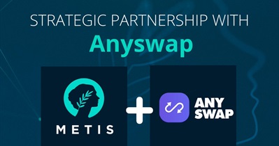 Anyswap과의 파트너십