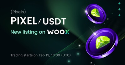 WOO X проведет листинг Pixels 19 февраля