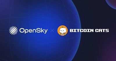Bitcoin Cats заключает партнерство с OpenSky Finance
