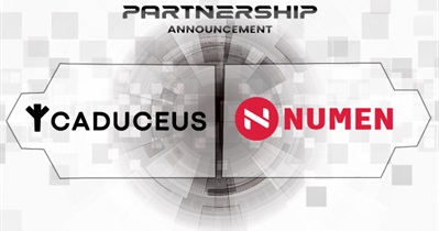Partnership With Numen