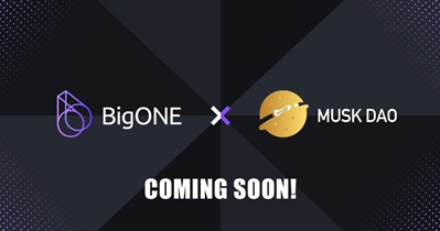 MUSK DAO to Be Listed on BigONE on February 2nd