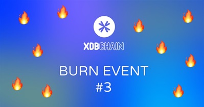 DigitalBits to Hold Token Burn on January 1st