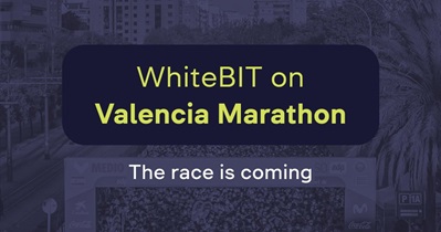 Marathon Trinidad Alfonso ở Valencia, Tây Ban Nha