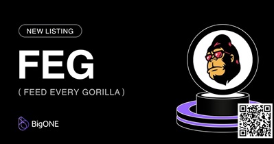 FEED EVERY GORILLA to Be Listed on BigONE on December 30th