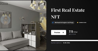NFT 房地产拍卖