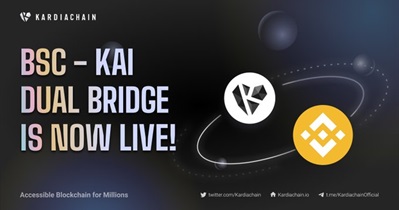 BSC - KAI Dual Bridge