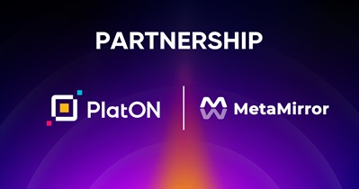 Partnership With MetaMirror