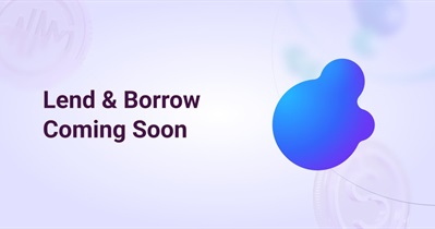 Lend & Borrow Service Launch