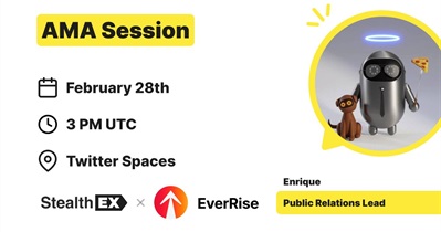 EverRise to Hold AMA on X on February 28th