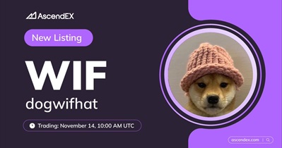 AscendEX проведет листинг dogwifcoin