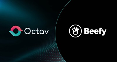 Beefy.Finance заключает партнерство с Octav