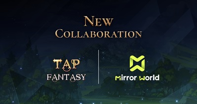 Mirror World Collaboration