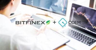 Bitfinex ile Ortaklık