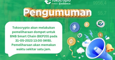 Pagpapanatili ng Wallet ng BNB Smart Chain (BEP20).