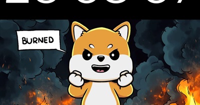 Koma Inu to Hold Token Burn