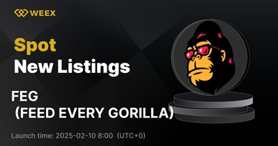 FEED EVERY GORILLA to Be Listed on WEEX on February 10th