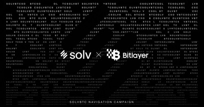 Bitlayer Entegrasyonu