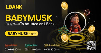 Baby Musk to Be Listed on LBank on March 11th