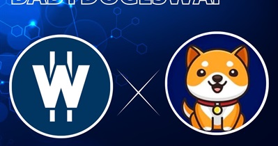 Partnership With Baby Doge