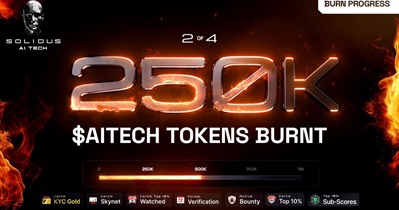 Solidus AI TECH to Hold Token Burn