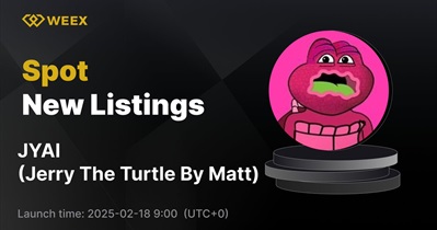 Jerry the Turtle by Matt Furie to Be Listed on WEEX on February 18th