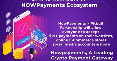 Partnership With NowPayments
