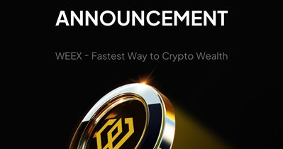 WEEX Token выпускает технический документ