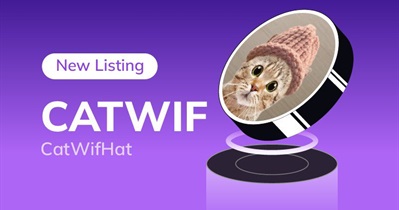 Catwifhat to Be Listed on AscendEX on March 30th