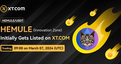 Hemule to Be Listed on XT.COM on March 7th
