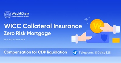 Collateral Insurance Launch