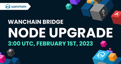Bridge Node Upgrade